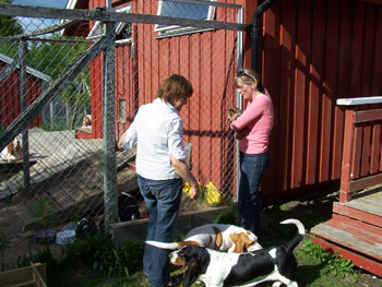 merete og heidi pluss basser